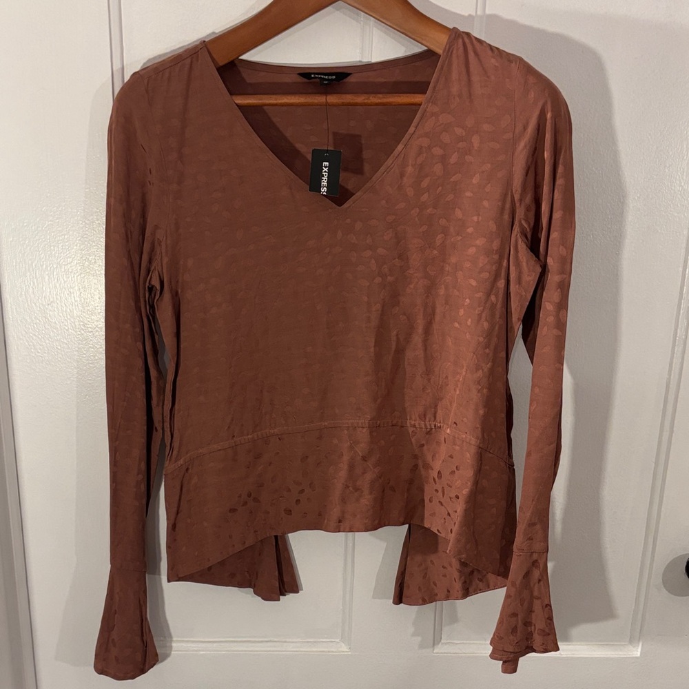 Express Rust Long Sleeve V-Neck Top